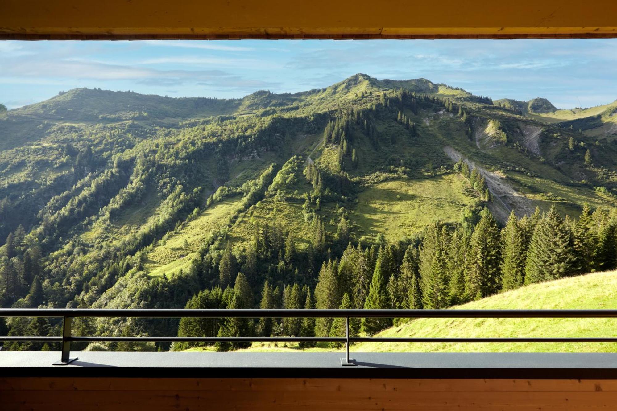 Appartement Alpenstolz Damuels Haus 2 - Stilvoll Urlauben In Den Bergen Extérieur photo