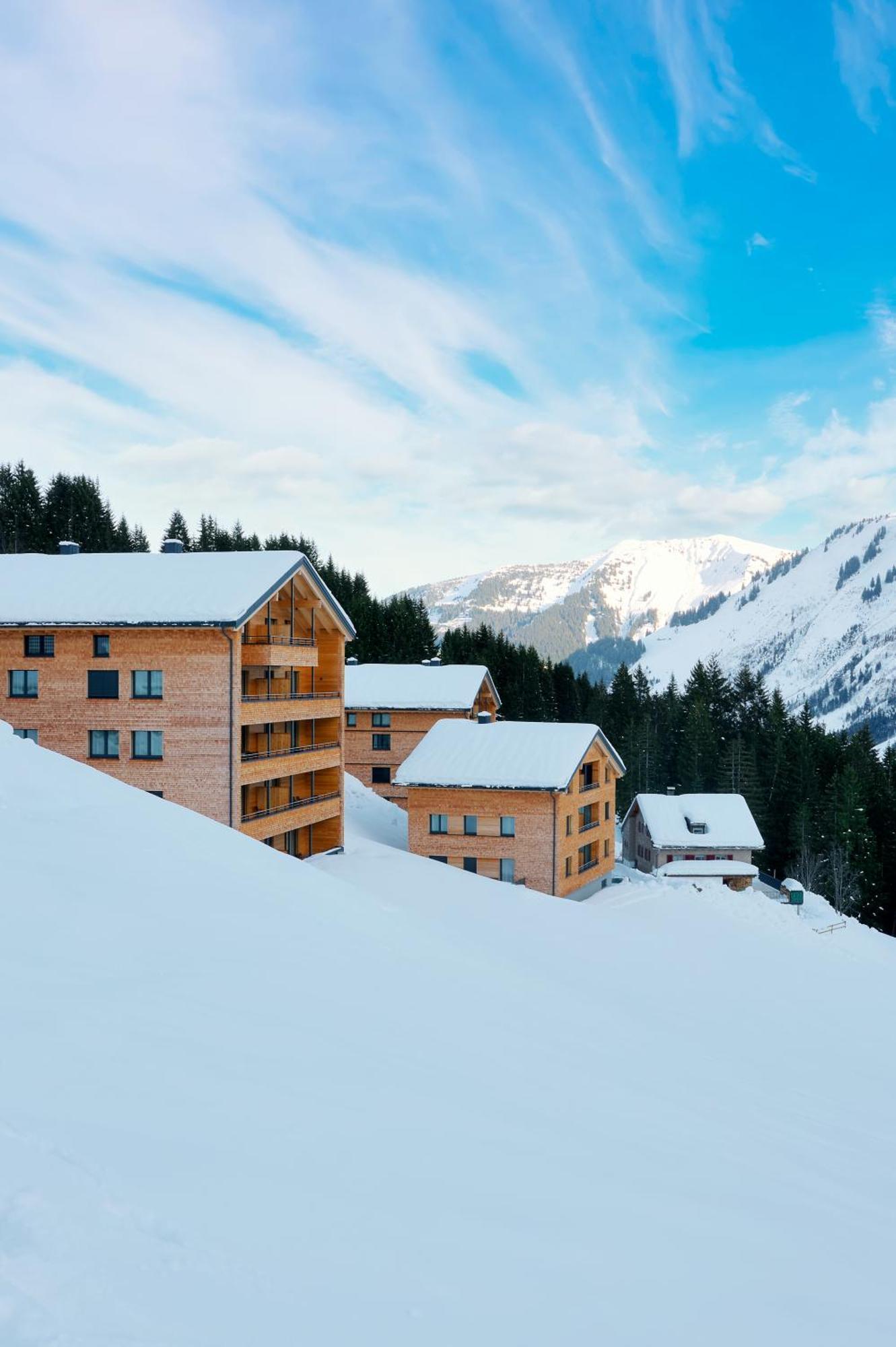 Appartement Alpenstolz Damuels Haus 2 - Stilvoll Urlauben In Den Bergen Extérieur photo